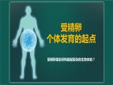 人教版2019高中生物必修1课件6-2细胞的分化(新教材有限版)