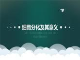 人教版2019高中生物必修1课件6-2细胞的分化(新教材有限版)