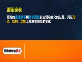 人教版2019高中生物必修1课件6-3细胞的衰老和死亡(新教材有限版)