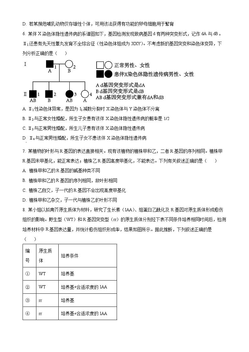 2024届安徽省六安市金安区第一中学高考模拟预测生物试题（原卷版+解析版）第2页