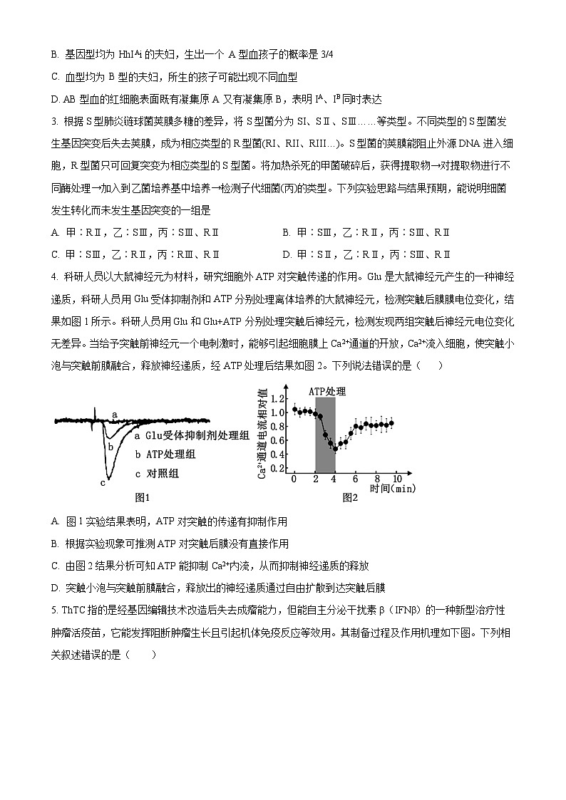 2024届甘肃省白银市靖远县第一中学高三模拟预测生物试题（原卷版+解析版）02
