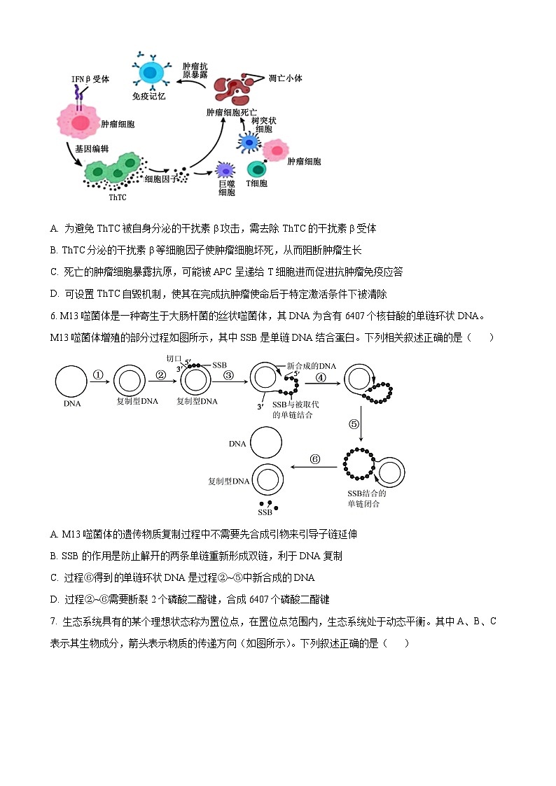 2024届甘肃省白银市靖远县第一中学高三模拟预测生物试题（原卷版+解析版）03
