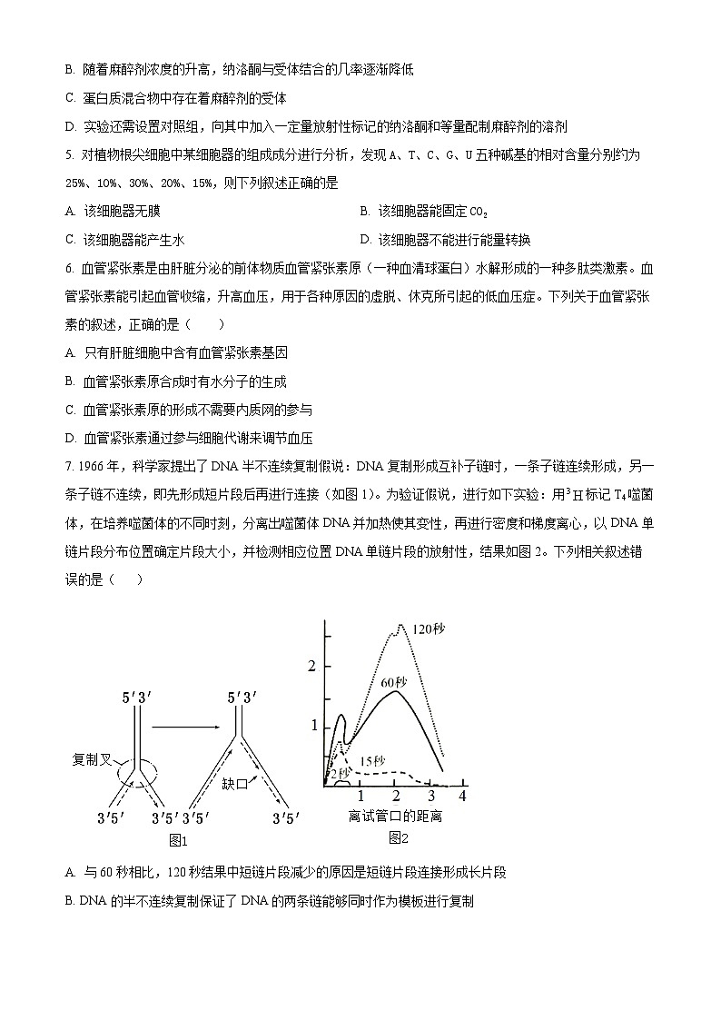 2024届广东省梅州市兴宁市第一中学高三模拟预测生物试题（原卷版+解析版）第2页
