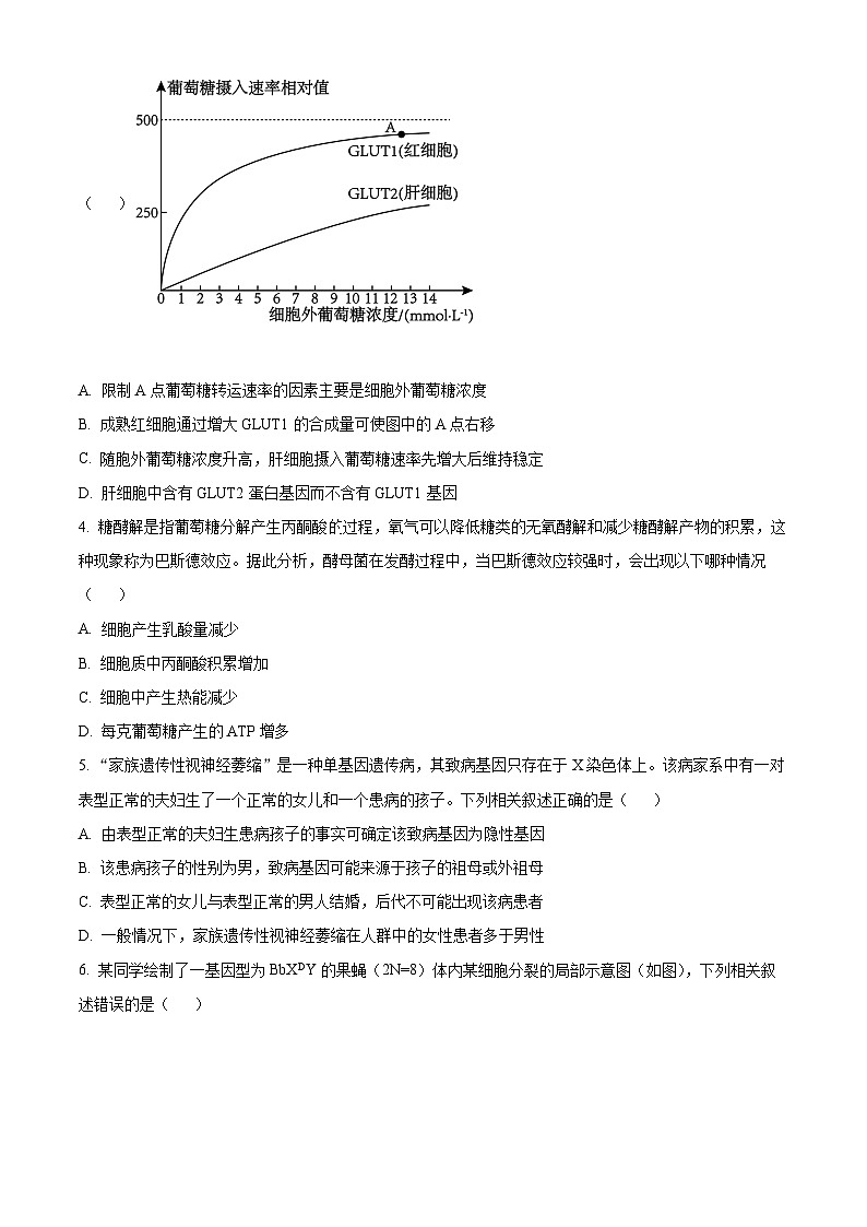 2024届贵州省贵阳市高三三模生物试题（原卷版+解析版）02