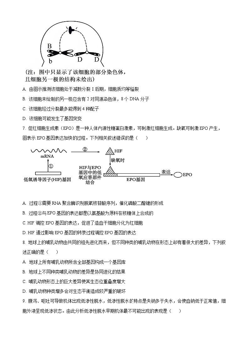 2024届贵州省贵阳市高三三模生物试题（原卷版+解析版）03