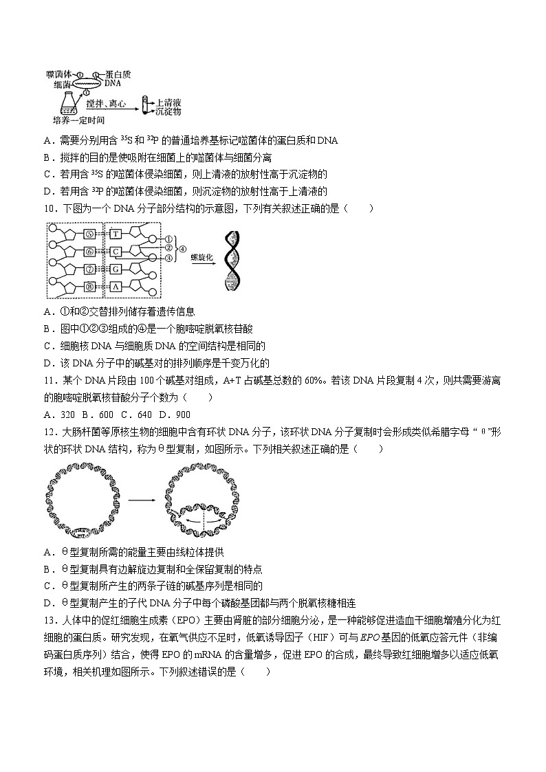 云南省部分校2023-2024学年高一下学期期中联考生物试题（含答案）03