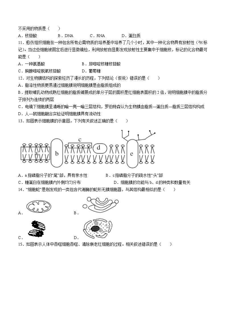 云南省昆明市官渡区尚品书院学校2022-2023学年高一上学期期末考试生物学试题（含答案）03