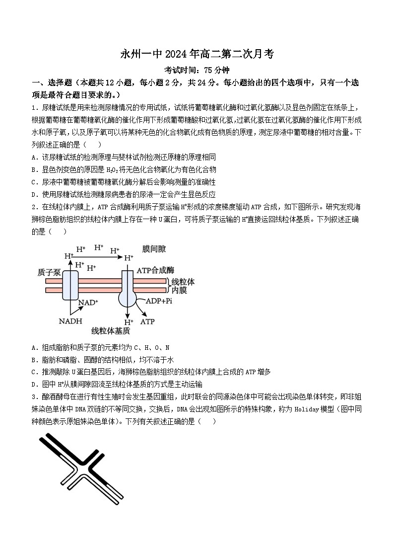 湖南省永州市零陵区永州市第一中学2023-2024学年高二下学期6月月考生物学试题（含答案）01