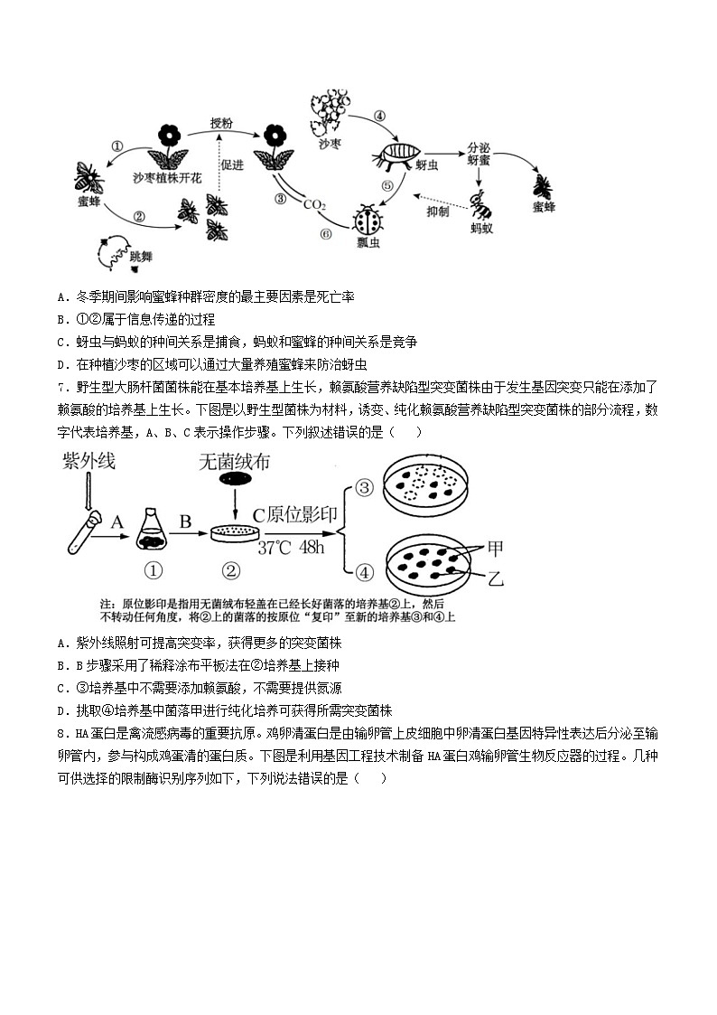 湖南省永州市零陵区永州市第一中学2023-2024学年高二下学期6月月考生物学试题（含答案）03