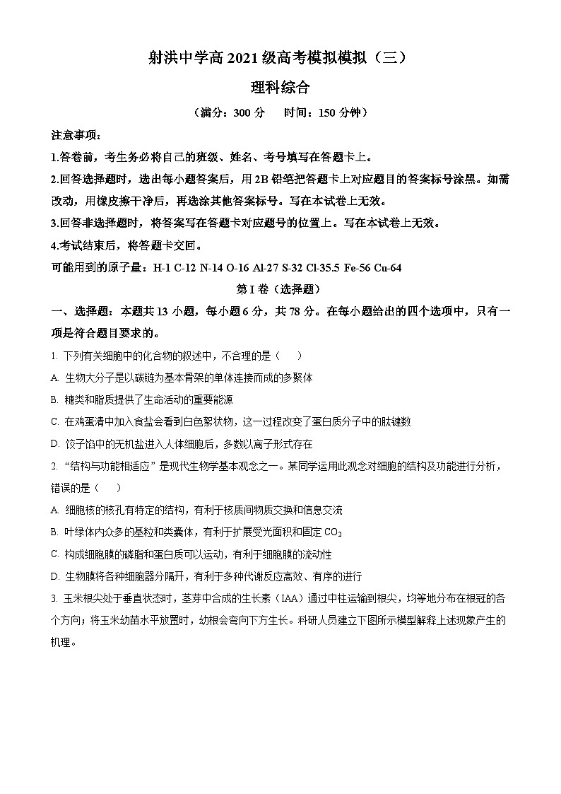 四川省遂宁市射洪中学2024届高三下学期三模生物试题（Word版附解析）01