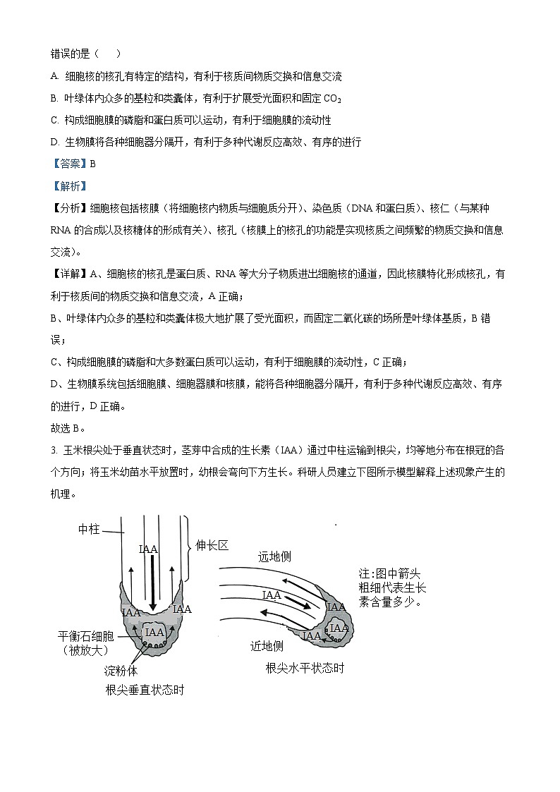 四川省遂宁市射洪中学2024届高三下学期三模生物试题（Word版附解析）02