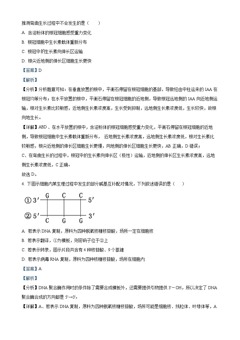 四川省遂宁市射洪中学2024届高三下学期三模生物试题（Word版附解析）03