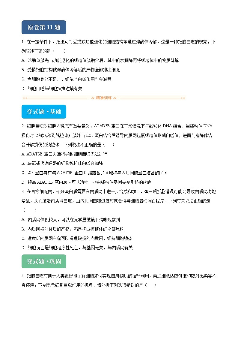 浙江省杭州市桐浦富兴稽阳联谊教研联盟2024届高三下学期二模生物变式题11-15试题（Word版附解析）01