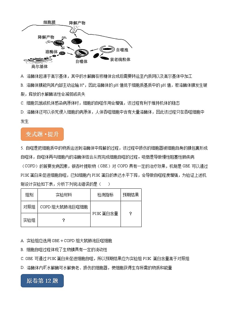 浙江省杭州市桐浦富兴稽阳联谊教研联盟2024届高三下学期二模生物变式题11-15试题（Word版附解析）02