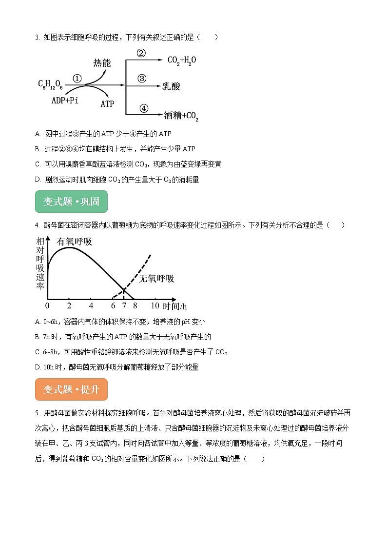 浙江省杭州市桐浦富兴稽阳联谊教研联盟2024届高三下学期二模生物变式题16-20试题（Word版附解析）02