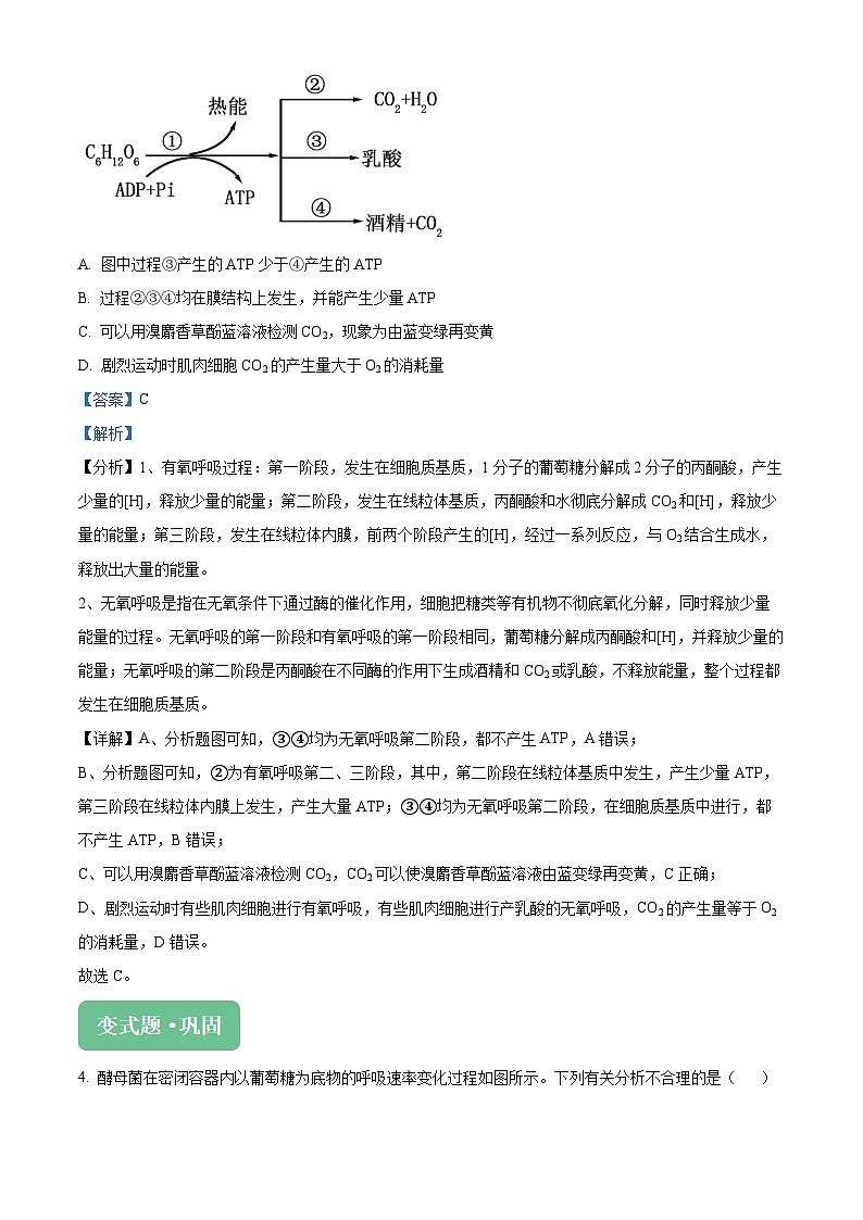 浙江省杭州市桐浦富兴稽阳联谊教研联盟2024届高三下学期二模生物变式题16-20试题（Word版附解析）03