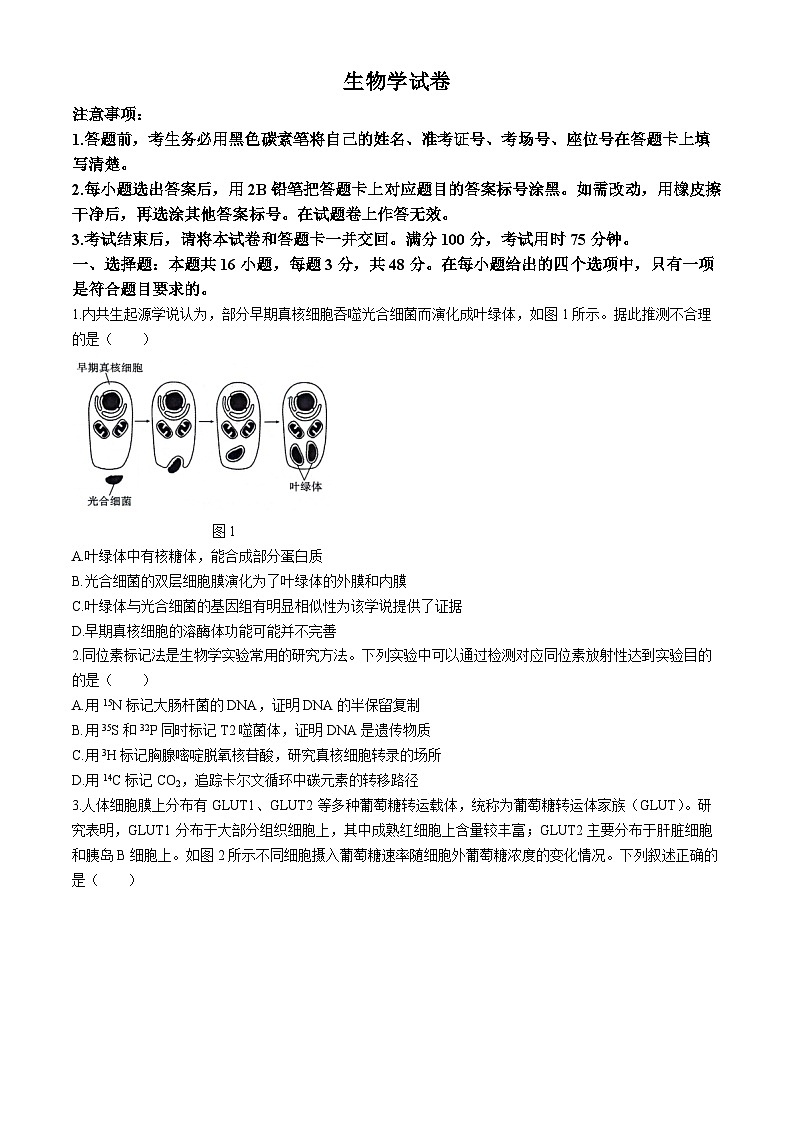 2024贵阳一中高三下学期5月三模试题生物含解析01