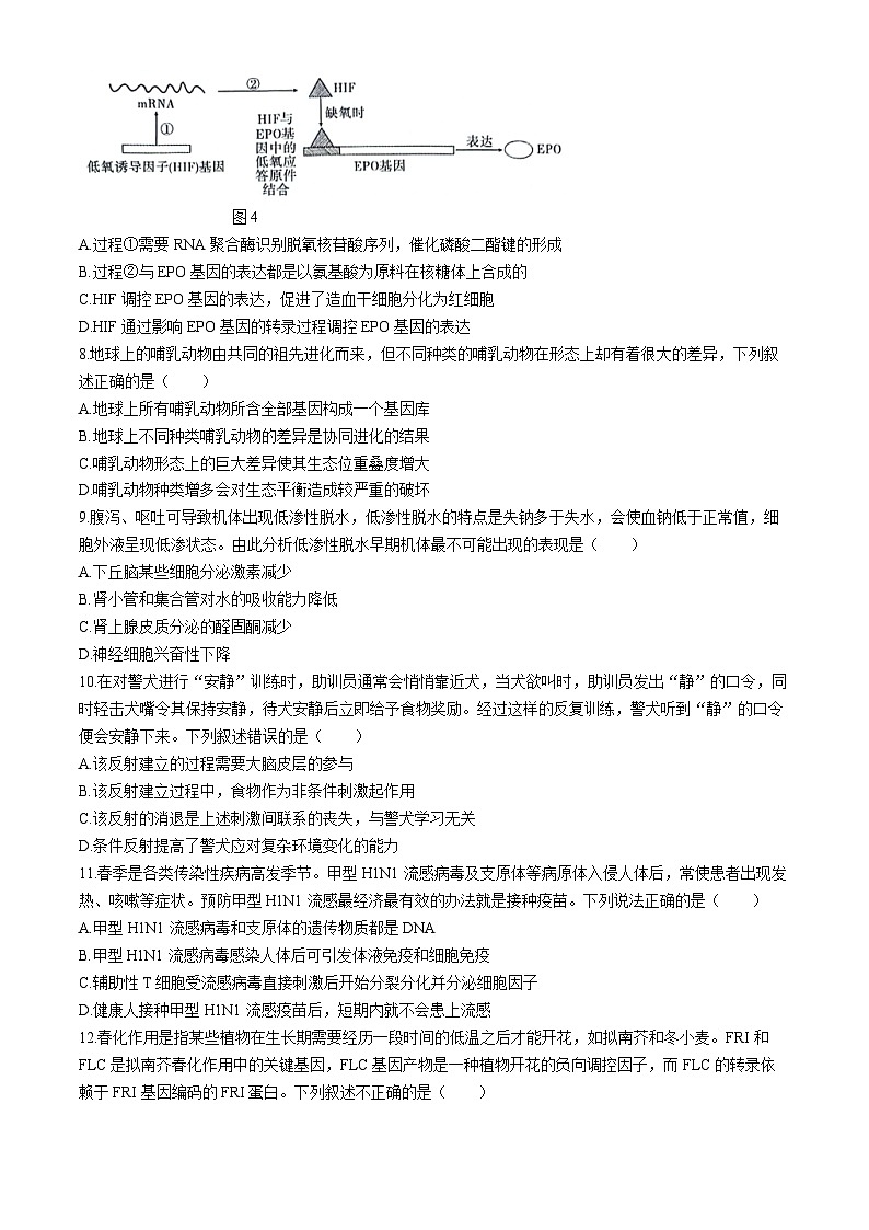 2024贵阳一中高三下学期5月三模试题生物含解析03