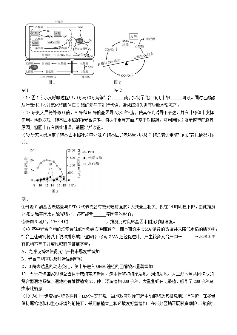 湖南省长沙市雅礼中学2024届高三下学期热身训练（三模）生物试题（Word版附解析）03