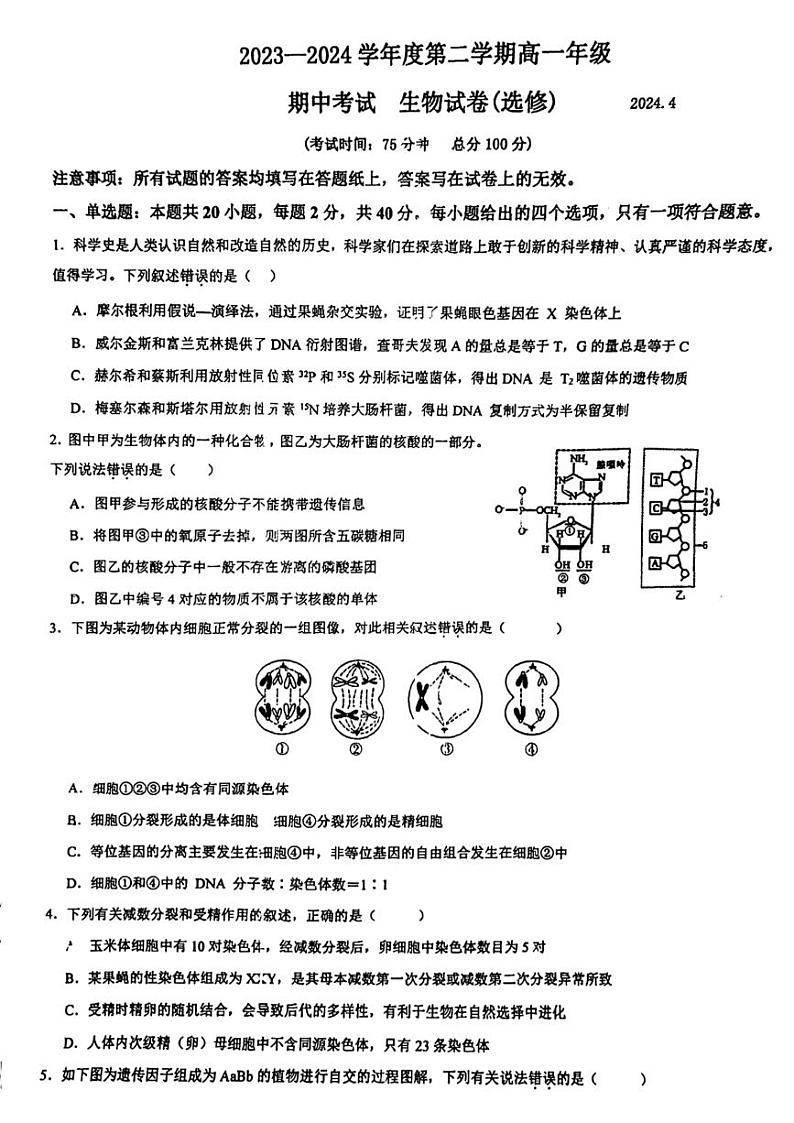 江苏省镇江市实验高级中学2023—2024学年高一下生物期中考试生物试题01