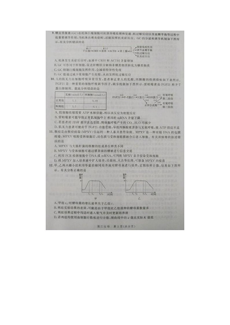 2024届河北省高三大数据应用调研联合测评生物试题03