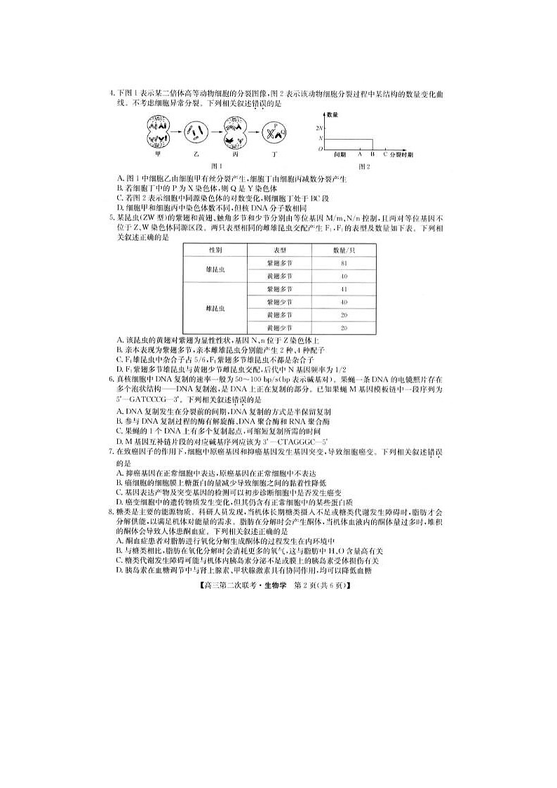 2024届江西省重点中学盟校高三第二次联考生物试题02