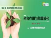 人教版2019高中生物必修1课件5-4光合作用与能量转化第2课时(新教材有限版)
