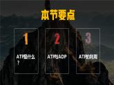 人教版2019高中生物必修1课件5-2细胞的能量“货币”——ATP(新教材有限版)