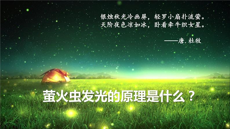 人教版2019高中生物必修1课件5-2细胞的能量“货币”——ATP(新教材有限版)03