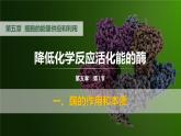 人教版2019高中生物必修1课件5-1降低化学反应活化能的酶第1课时(新教材有限版)