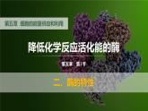 人教版2019高中生物必修1课件5-1降低化学反应活化能的酶第2课时(新教材有限版)