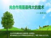 人教版2019高中生物必修1课件5-4光合作用与能量转化第1课时(新教材有限版)