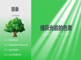人教版2019高中生物必修1课件5-4光合作用与能量转化第1课时(新教材有限版)