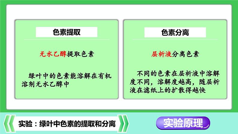 人教版2019高中生物必修1课件5-4光合作用与能量转化第1课时(新教材有限版)08