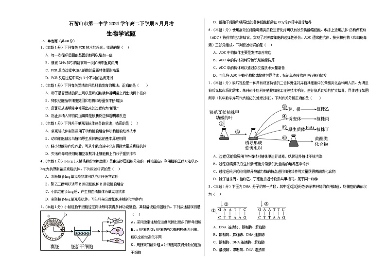 宁夏回族自治区石嘴山市第一中学2023-2024学年高二下学期5月月考生物试题01