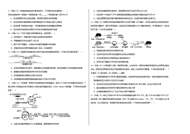宁夏回族自治区石嘴山市第一中学2023-2024学年高二下学期5月月考生物试题02