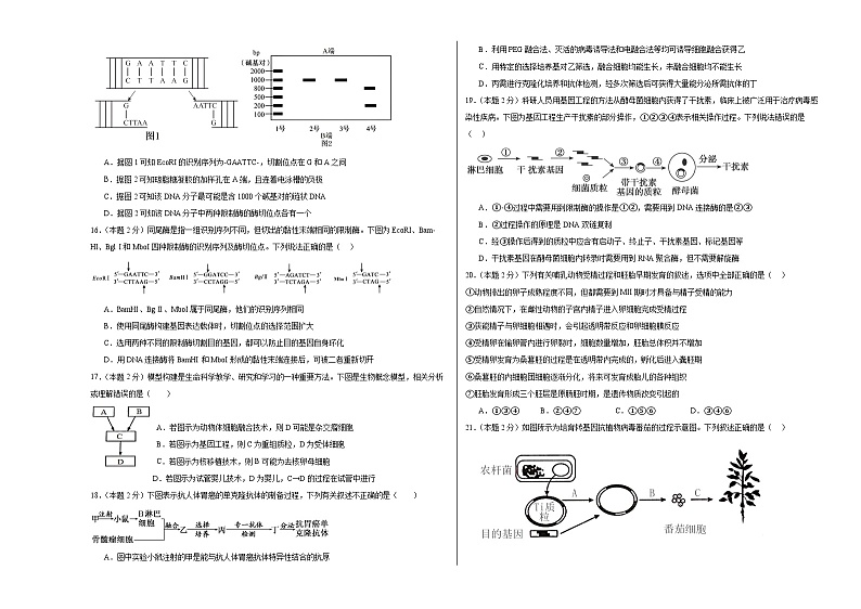 宁夏回族自治区石嘴山市第一中学2023-2024学年高二下学期5月月考生物试题03