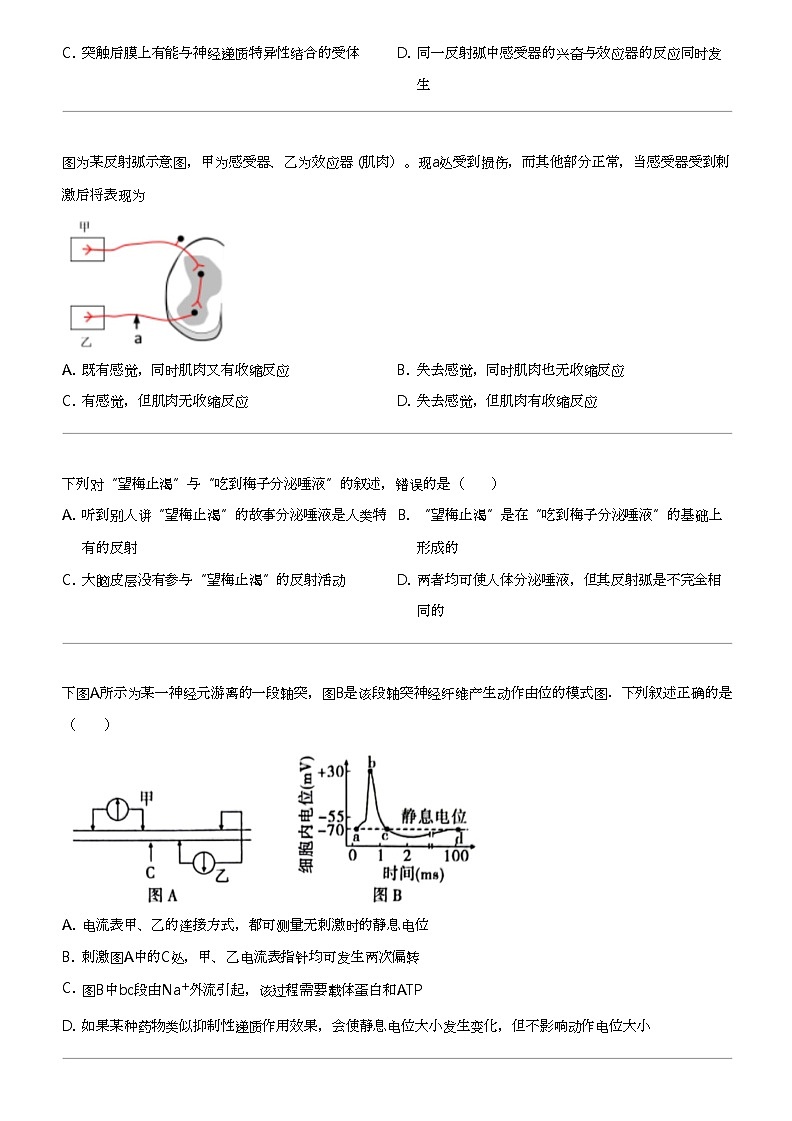 2022_2023学年10月福建福州台江区福建省福州第十五中学高二上学期月考生物试卷02