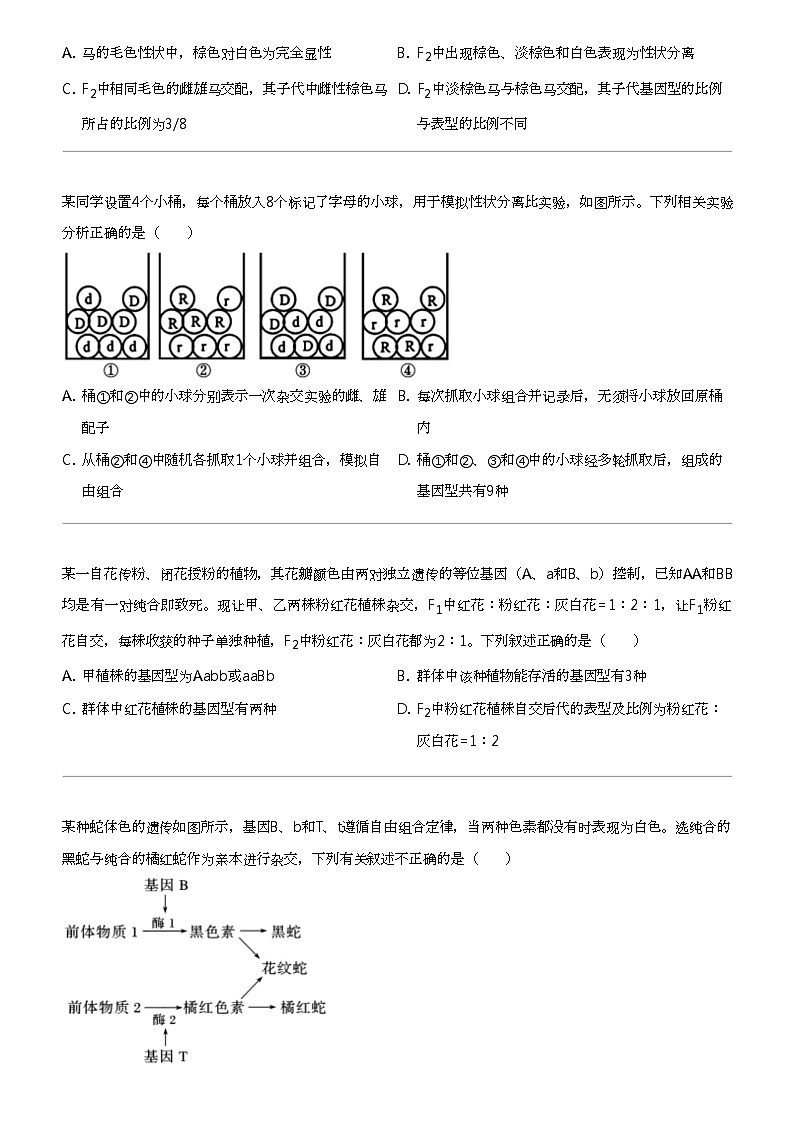 2023_2024学年4月福建厦门思明区福建省厦门双十中学高一下学期月考生物试卷第2页