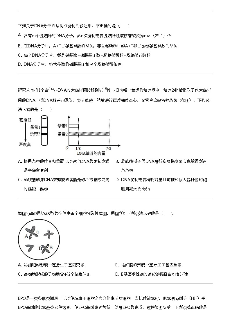 2022_2023学年6月福建厦门思明区厦门市第一中学高一下学期月考生物试卷第2页