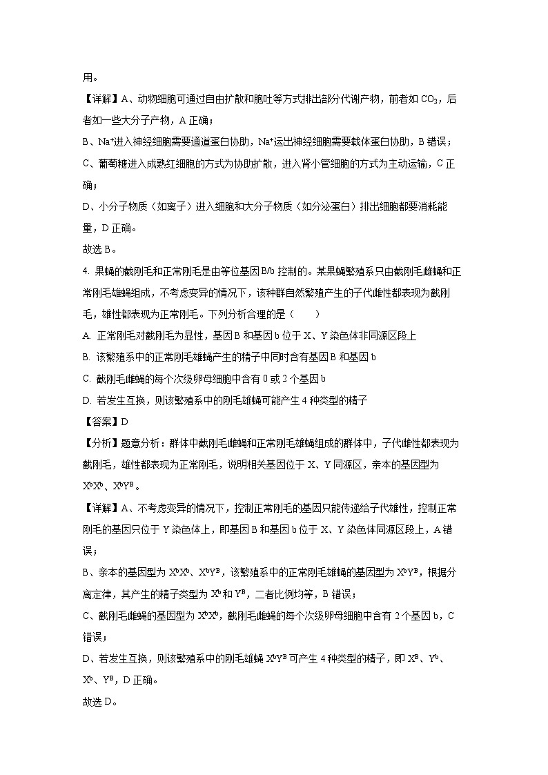 生物：2024届江西省部分学校高三下学期5月高考适应性大练兵联考（解析版）第3页