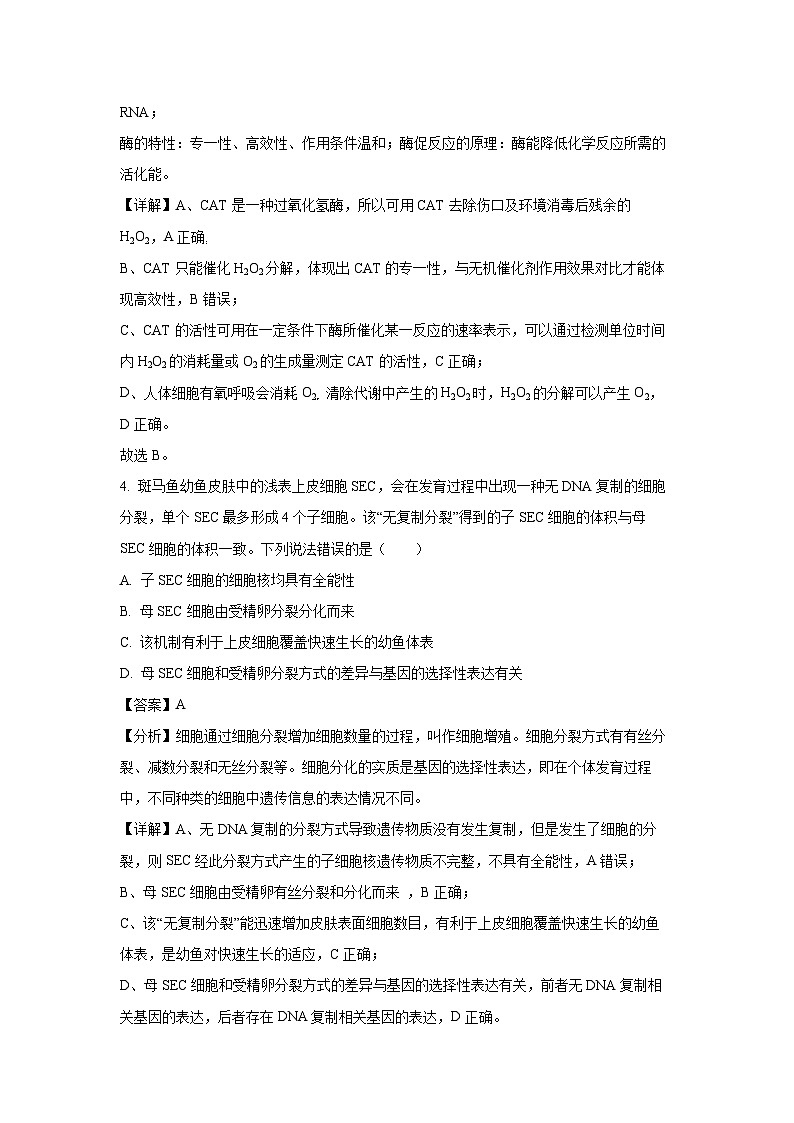 生物：2024届山东省济宁市高三下学期三模试卷（解析版）03