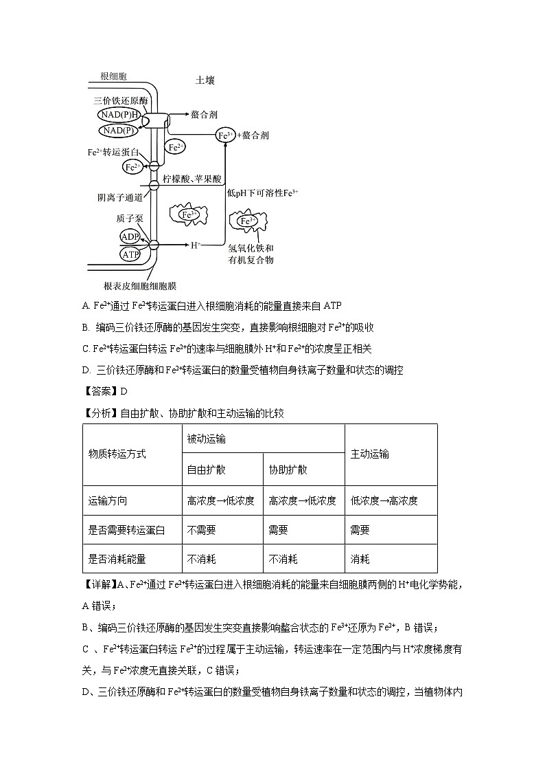 生物：2024届山东省智慧上进高三下学期5月大联考试卷（解析版）03