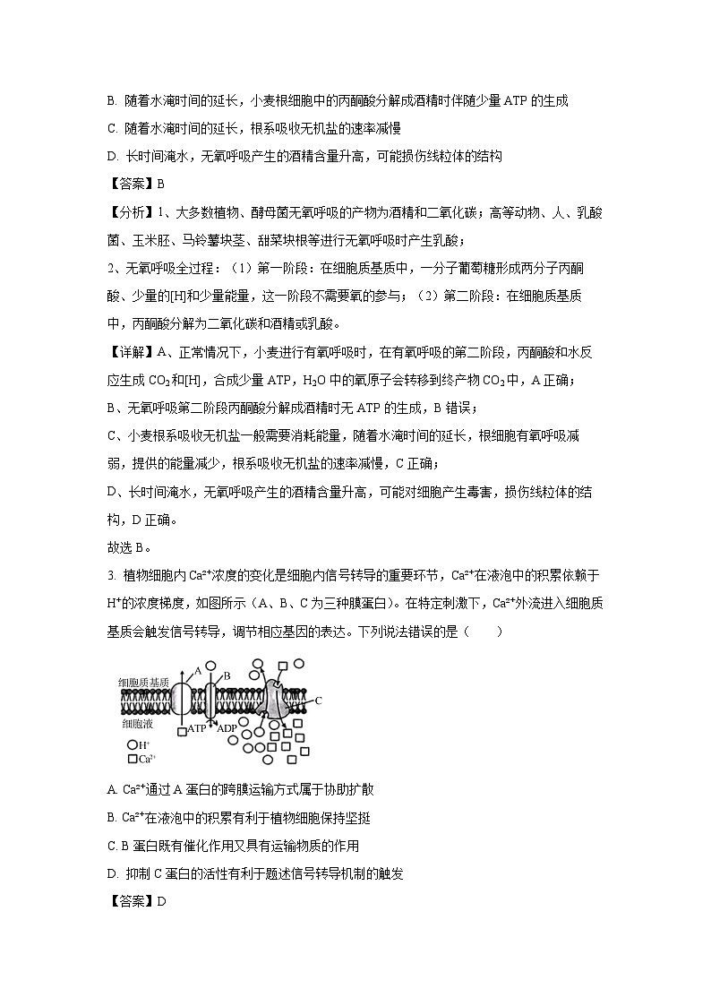 生物：2024届安徽省普通高中学业水平选择性考试临考预测押题密卷A卷 （解析版）02