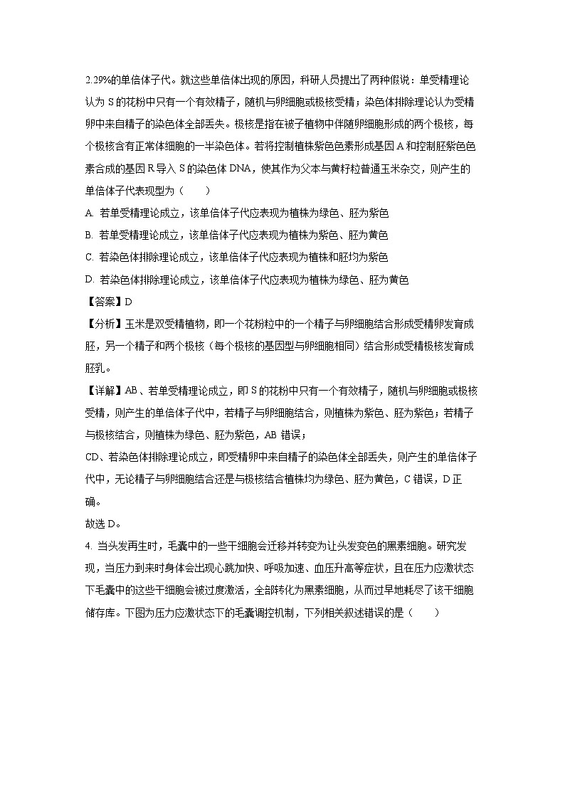 生物：2024届湘豫名校高三下学期考前保温卷（解析版）第3页
