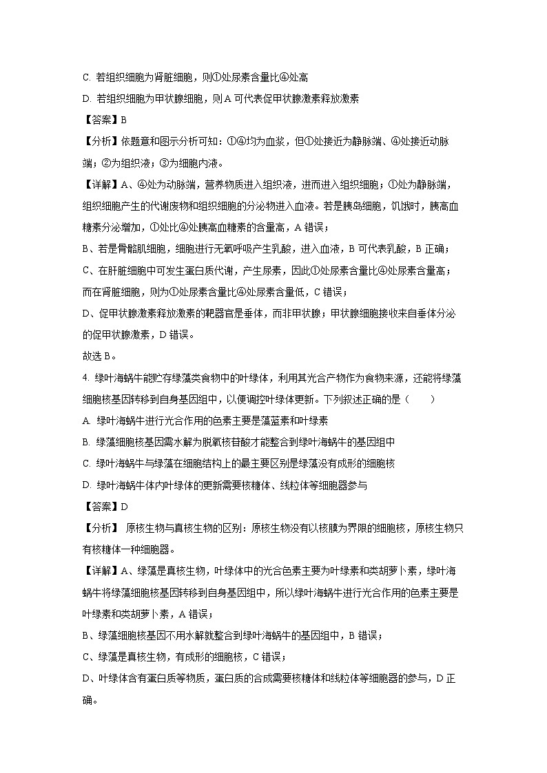 生物：2024年东北三省四校高三下学期第四次模拟考试（解析版）第3页