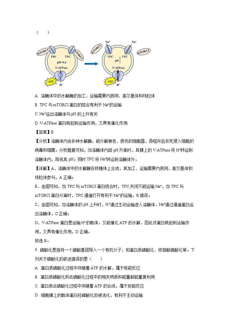 生物：2024届黑龙江省高三押题卷（三）（解析版）03
