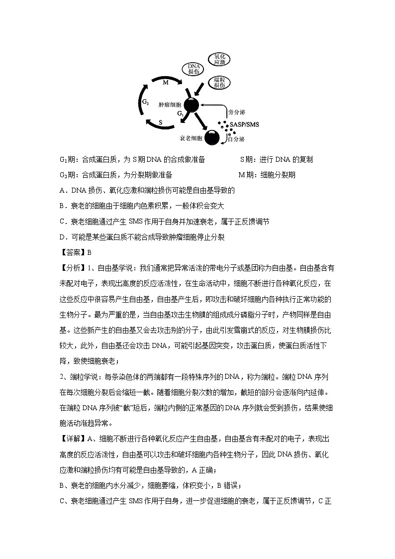 生物：2024高考考前冲刺卷01（甘肃、贵州适用）（解析版）第3页