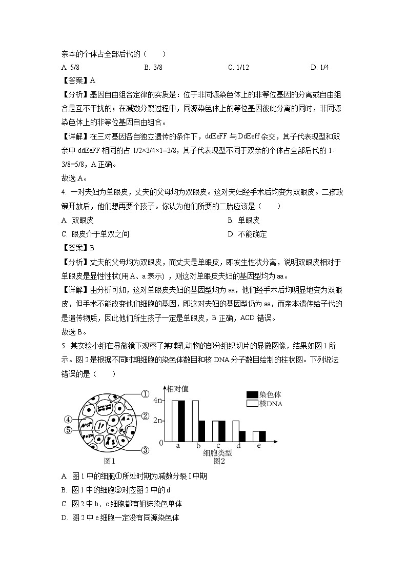 生物：辽宁省大连市滨城高中联盟2023-2024学年高一下学期4月月考试卷（解析版）02