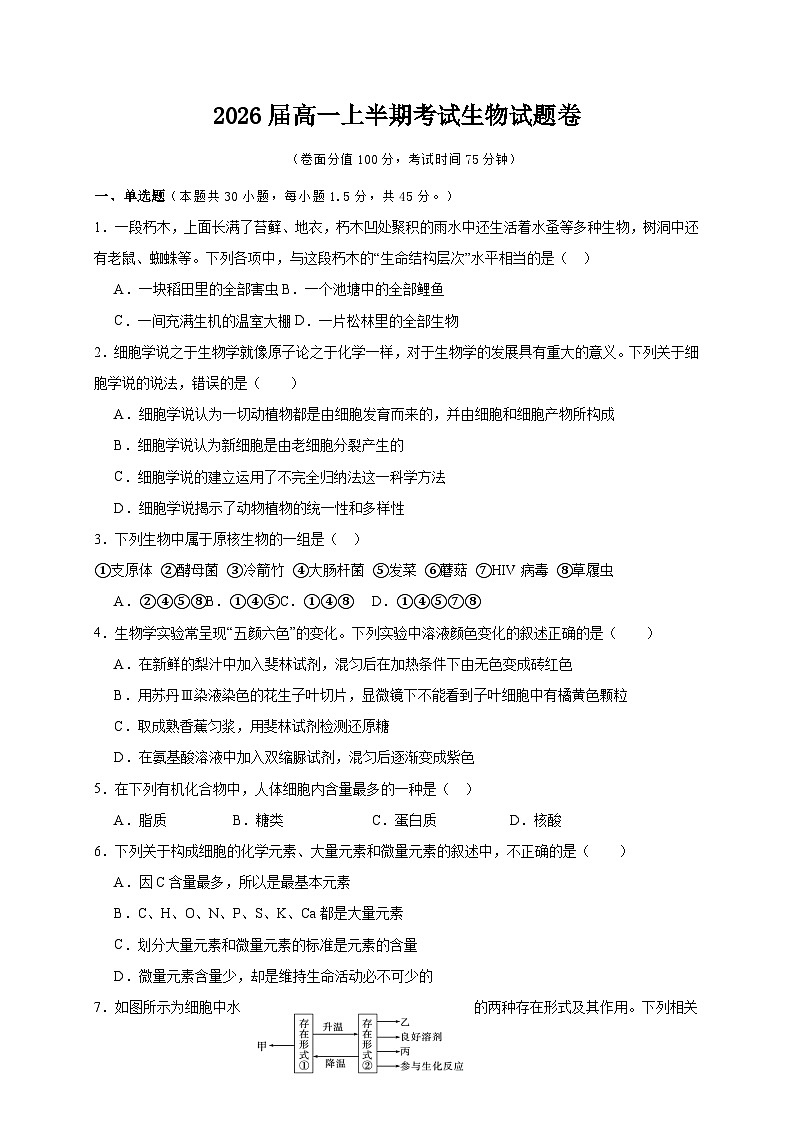 四川省乐山市某校2023-2024学年高一上学期期中考试生物试题01